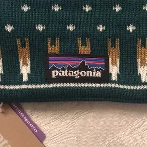 Patagonia | Accessories | Brand New Patagonia Powder Town  display picture 3